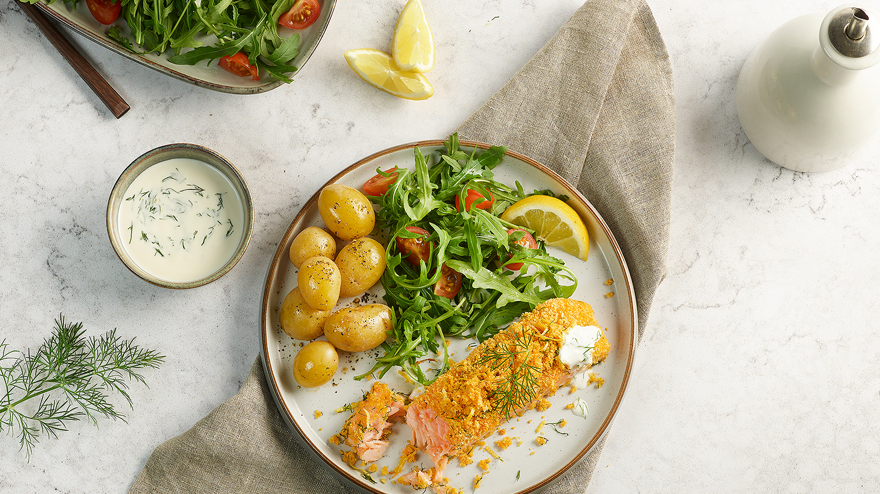 salmon